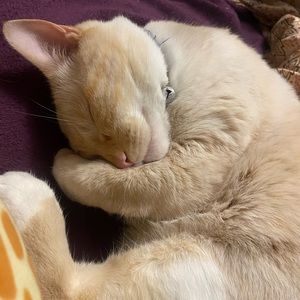 Meet your Posher, Via